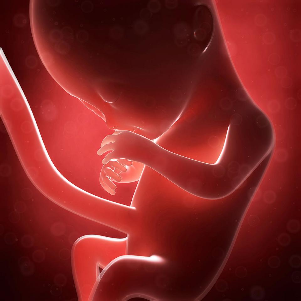 هفته سی و هفتم بارداری هفته سی و نهم بارداری هفته سی و ششم بارداری هفته سی و پنجم بارداری هفته چهلم بارداری زایمان هفته سی و هشتم بارداری راهنمای هفته 39 بارداری راهنمای هفته 37 بارداری راهنمای هفته 36 بارداری راهنمای هفته 35 بارداری دوران بارداری بارداری هفته به هفته   