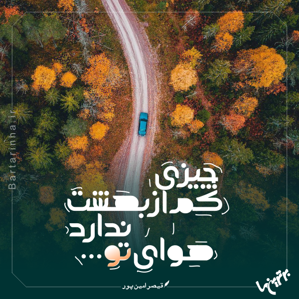 مینی شعر (463) مینی شعر (463)