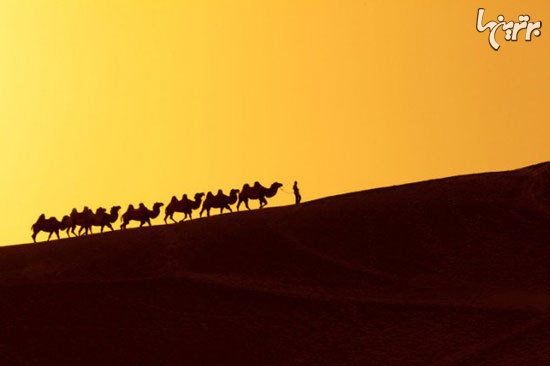 حقایق جالب درباره مغول‌ها