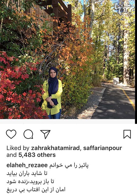 چهره ها در شبکههای اجتماعی (588) چهره ها در شبکههای اجتماعی (588)