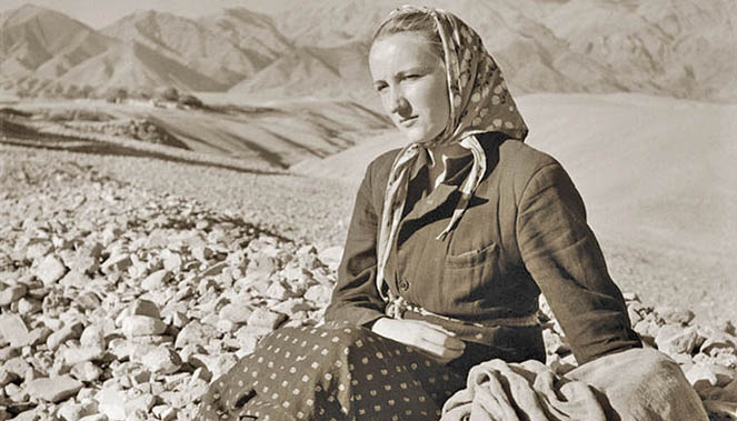 میزبان در بحران