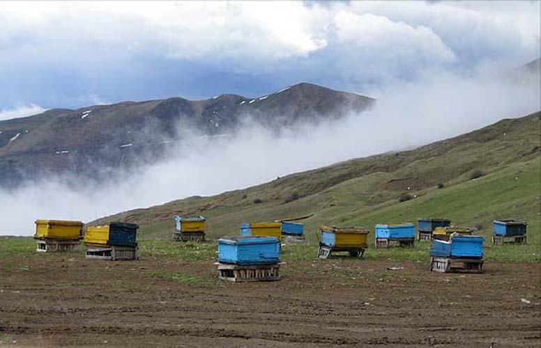 گردنه حیران؛ منطقه ای زیبا و نامحدود از طبیعت ایران(+عکس)
