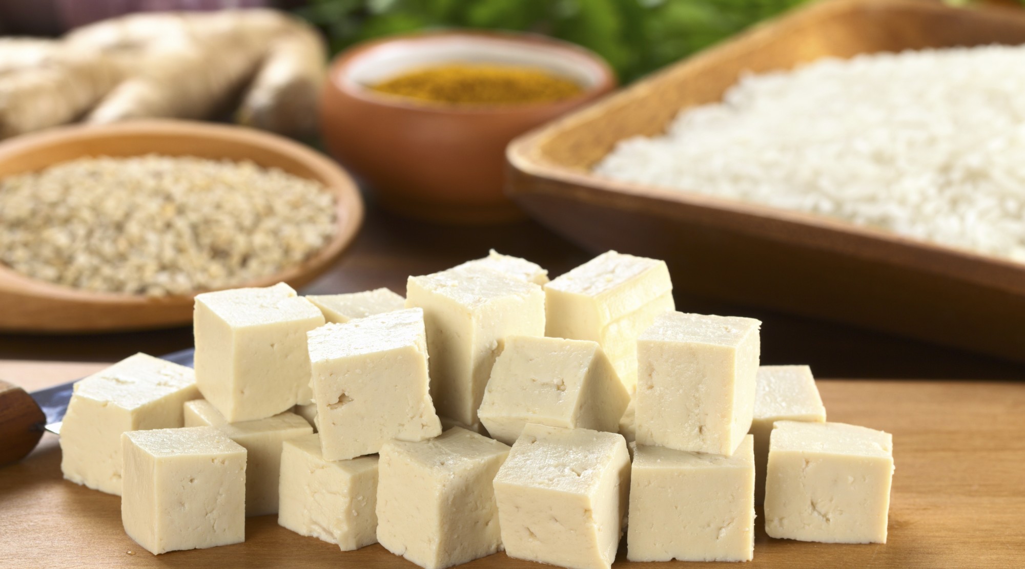 کاهش وزن سریع کاهش وزن رژیم لاغری رژیم کاهش وزن رژیم دوکان dukan diet   
