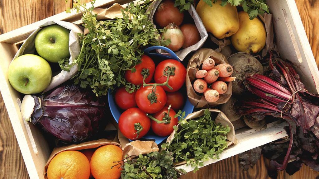 بررسی انواع نیازهای تغذیه ای زنان