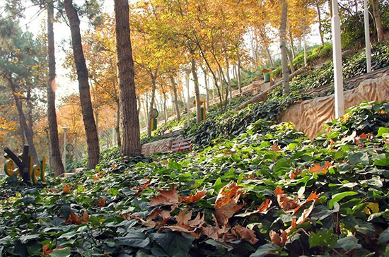 اییز گردی در پارک های تهران