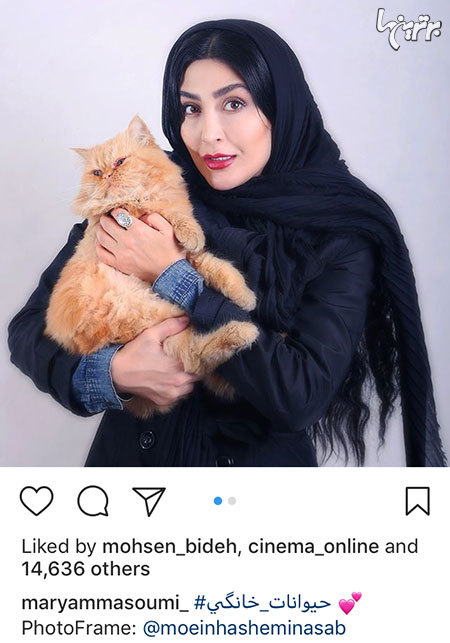 چهره ها در شبکههای اجتماعی (594) چهره ها در شبکههای اجتماعی (594)