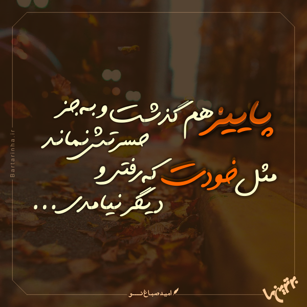 مینی شعر (268)