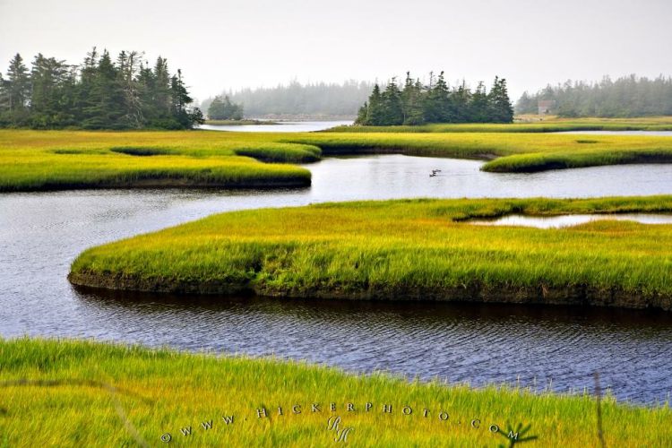 راهنمای سفر به نوا اسکوشیا (Nova Scotia)، کانادا (+عکس)