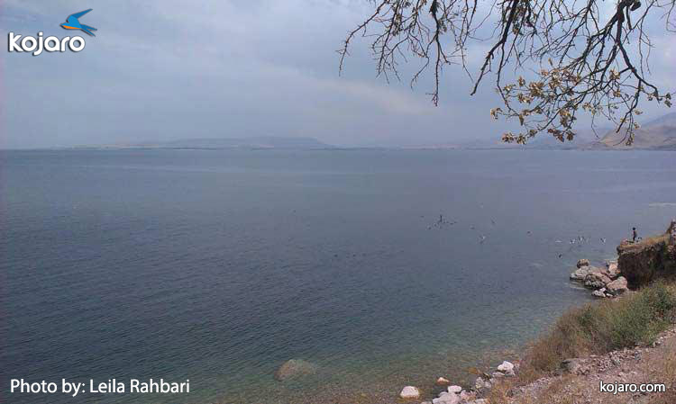 سفر به وان ، ترکیه (+عکس) سفر به وان ، ترکیه (+عکس)