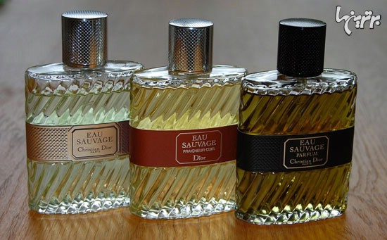 عطر، بوی ناب زندگی – قسمت اول