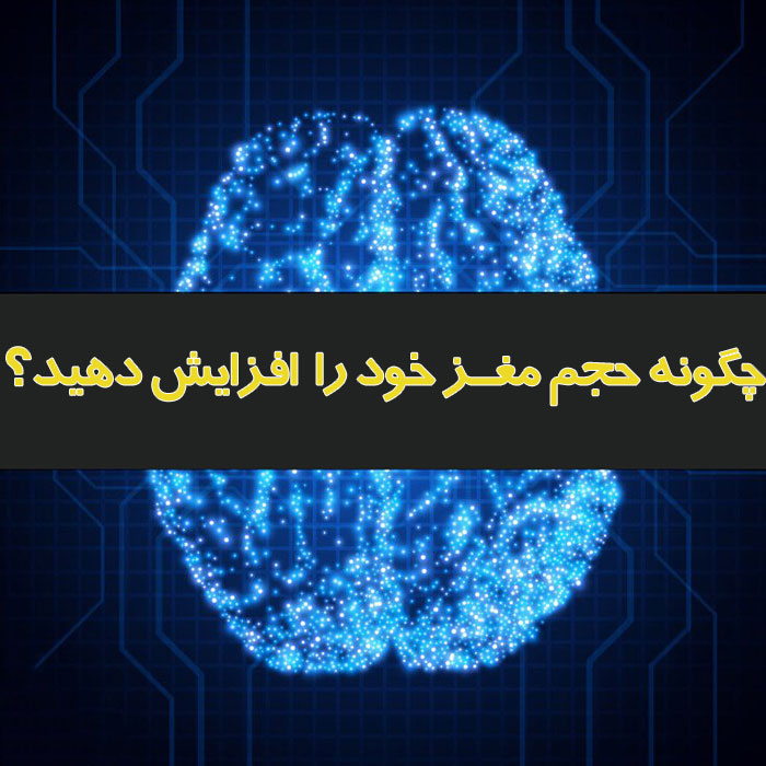 افزایش حجم مغز,افزایش اندازه مغز,روش های افزایش حجم مغز