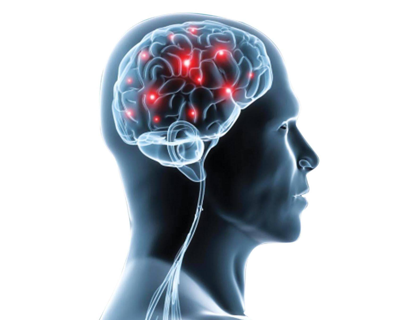 قهوه و افزایش تمرکزَ تقویت مغز تقویت حافظه بلوبری و افزایش تمرکز افزایش تمرکز   