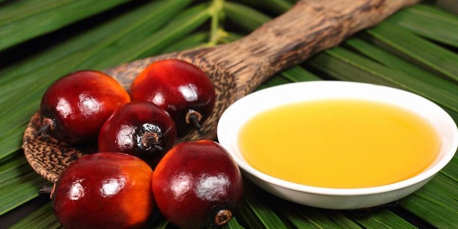 مضرات روغن پومیس زیتون مضرات روغن پومیس روغن پومیس چیست روغن پومیس   